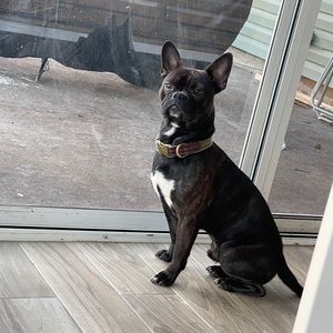 Meet your Posher, Gilberto